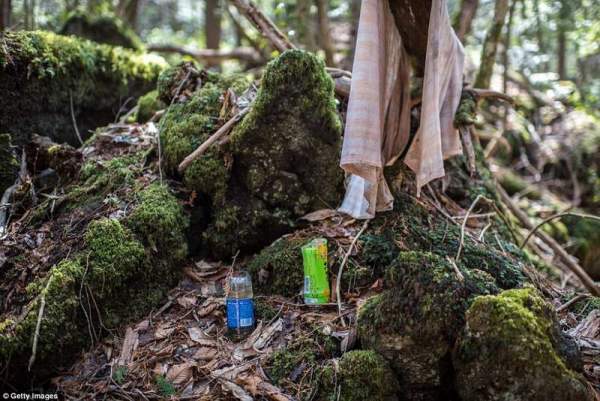 Bên trong khu rừng tự sát ám ảnh nhất nước Nhật 3
