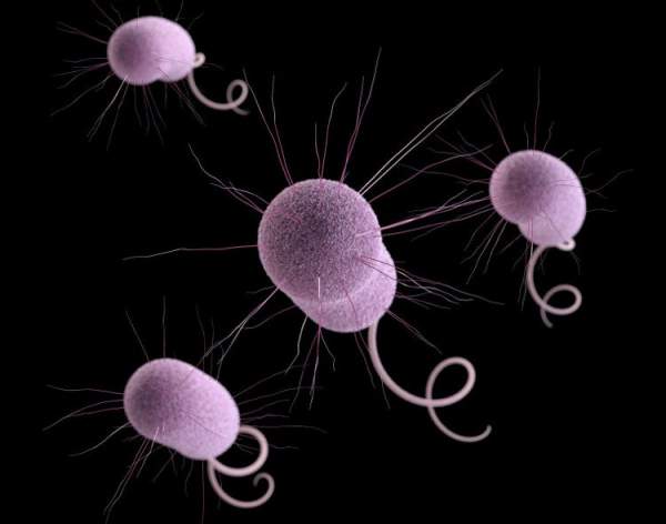 CDC Hoa Kỳ cảnh báo: Vi khuẩn "ác mộng" đang lan ra trên toàn nước Mỹ 2