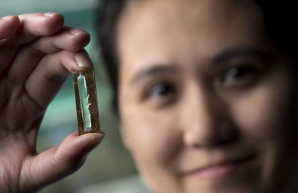Nữ nghiên cứu sinh gốc Việt phát minh ra pin lithium trọn đời 2