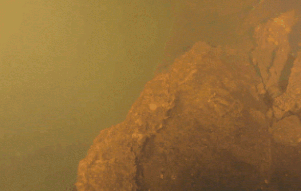 Các nhà khoa học bất ngờ thấy thứ này khi đặt máy quay trong lòng núi lửa dưới biển 2