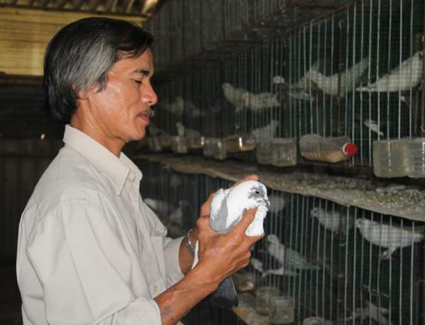 Bình Định: Nông dân tự chế thiết bị nâng nhiệt khử trùng nấm hiệu quả cao 2