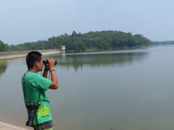 Quây lưới phát hiện rùa Hồ Gươm khổng lồ ở Sơn Tây 4