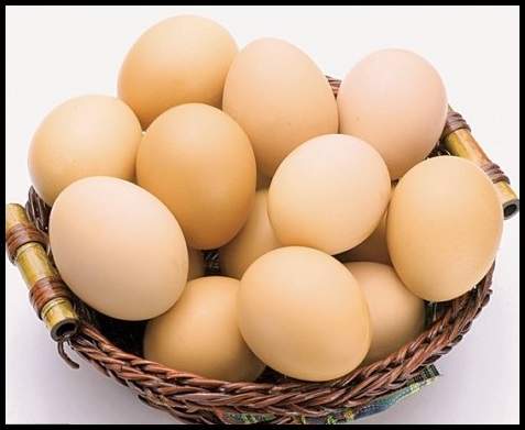 7 mẹo hay giúp bảo quản trứng trong ngày nắng nóng 7