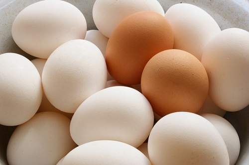 7 mẹo hay giúp bảo quản trứng trong ngày nắng nóng 6