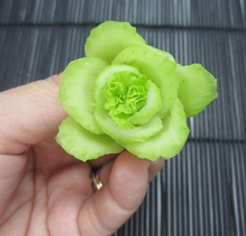 Mách bạn cách tỉa hoa từ cải thìa đẹp mắt trang trí món ăn Tết 5