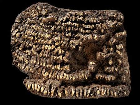 14 cổ vật kì lạ lâu đời nhất thế giới 8