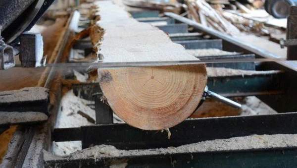 Phát hiện mùn cưa, phôi gỗ, vỏ bào… có thể giúp kết dính bê tông chắc hơn 2