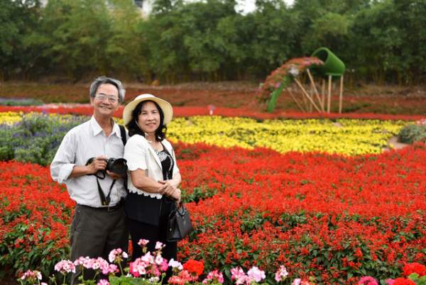 Ngắm nhìn khu vườn 70.000 m2 rực rỡ sắc hoa ở Hà Nội 7