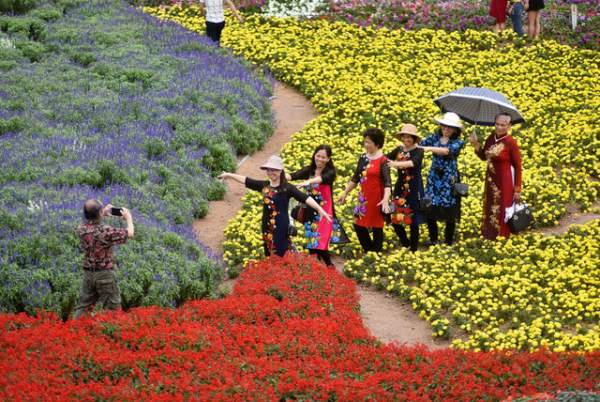 Ngắm nhìn khu vườn 70.000 m2 rực rỡ sắc hoa ở Hà Nội 8