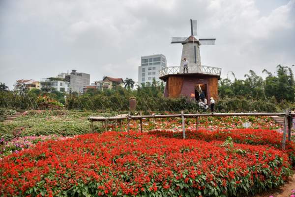 Ngắm nhìn khu vườn 70.000 m2 rực rỡ sắc hoa ở Hà Nội 3