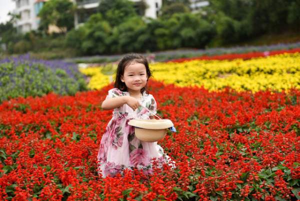 Ngắm nhìn khu vườn 70.000 m2 rực rỡ sắc hoa ở Hà Nội 13