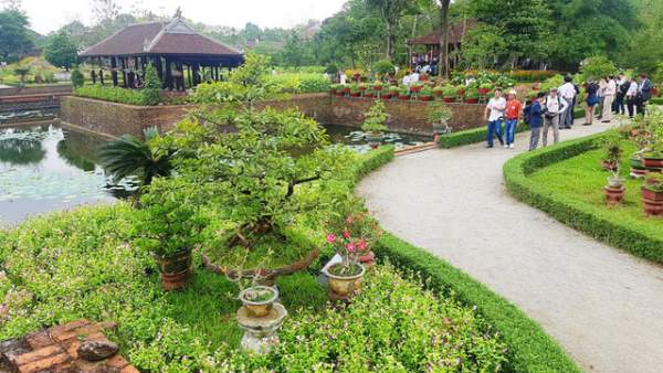 Hơn 1.000 cây kiểng, phong lan tỏa hương sắc tại Hoàng cung Huế 10