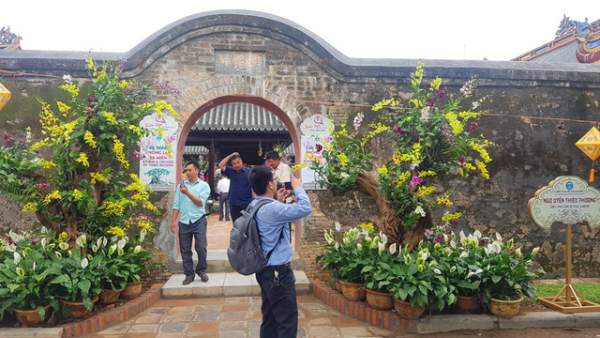Hơn 1.000 cây kiểng, phong lan tỏa hương sắc tại Hoàng cung Huế 11