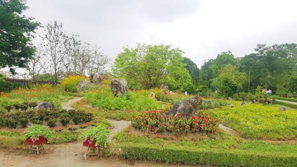 Hơn 1.000 cây kiểng, phong lan tỏa hương sắc tại Hoàng cung Huế 5