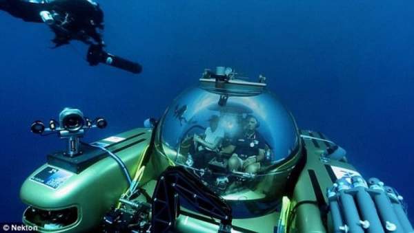 Vùng biển sâu 300m bí ẩn ở Bermuda: Xuất hiện sinh vật chưa từng biết trên Trái Đất 4