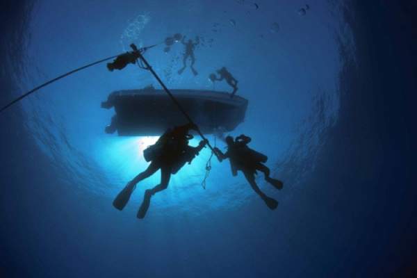 Vùng biển sâu 300m bí ẩn ở Bermuda: Xuất hiện sinh vật chưa từng biết trên Trái Đất 3