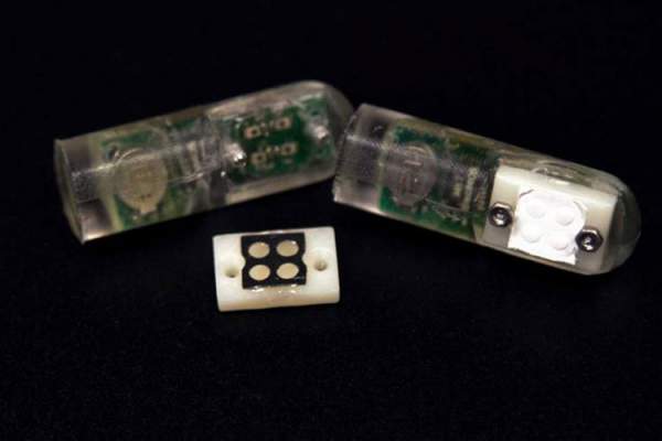 MIT phát triển "vi khuẩn trên chip" có khả năng phát hiện chảy máu dạ dày 2