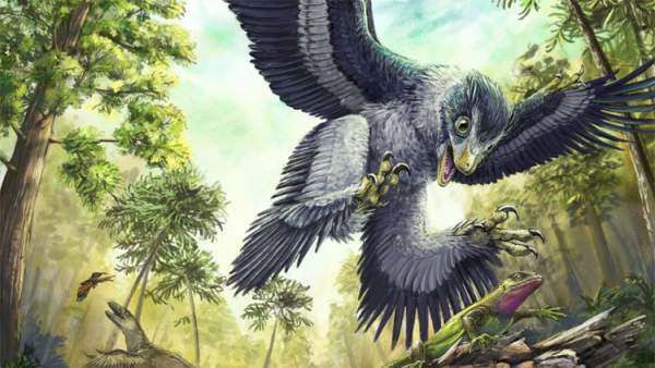 Cùng phải chịu thảm họa thiên thạch nhưng vì sao khủng long tuyệt chủng, chim thì không? 3