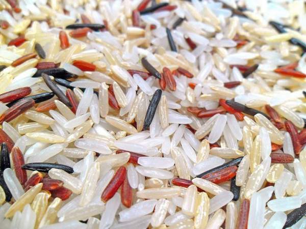 Nồng độ CO2 quá cao có thể khiến gạo mất nhiều dưỡng chất quan trọng? 4