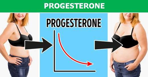 Tìm hiểu nhanh những loại hormone có thể là nguyên nhân khiến bạn bị béo phì! 5