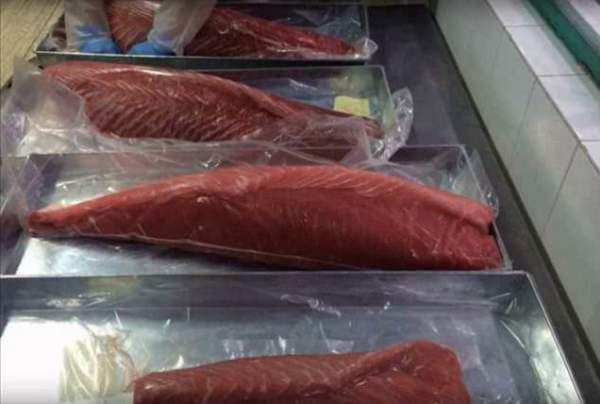 Úc cảnh giác cá ngừ được làm tươi lại bằng Carbon Monoxide 2