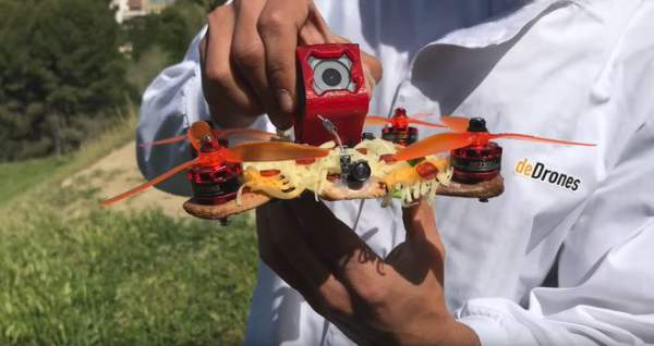 Drone làm từ pizza bay lượn trên bầu trời không khác gì máy bay thực thụ 2
