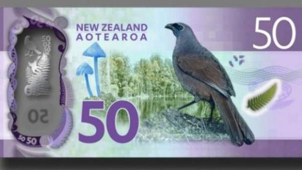 Tường tận loài nấm vinh dự có mặt trên tờ tiền New Zealand 2