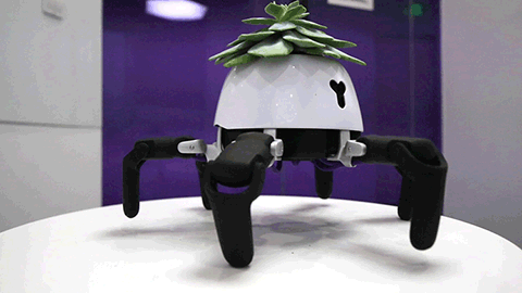 Robot "đầu chỉ để trồng cây" biết tìm tới ánh sáng để quang hợp, báo hiệu khi cây khát nước 2