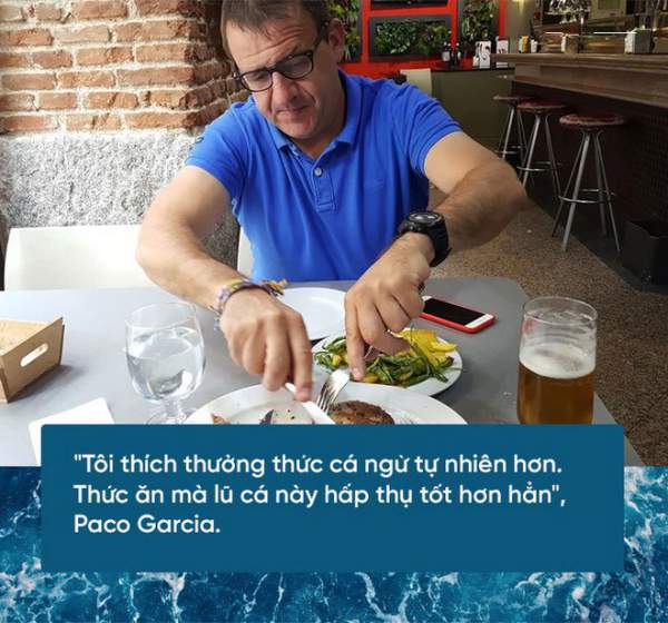 Các nhà khoa học đang thuần hóa cá ngừ vây xanh để có đủ nguyên liệu làm sushi 8