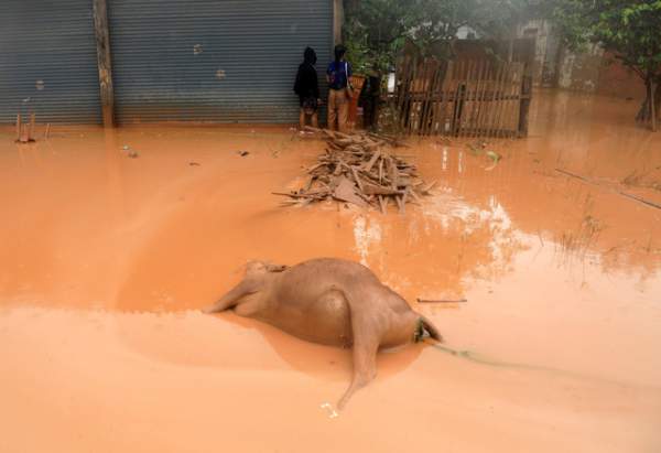 Nước rút bùn ngập, người Lào chật vật trở về nhà sau sự cố vỡ đập 15