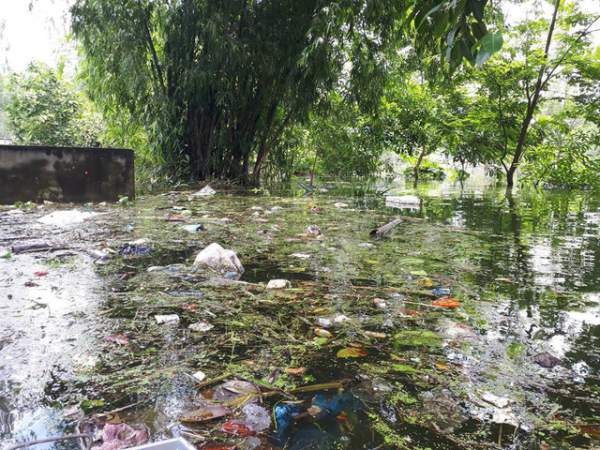 Kinh hoàng “biển rác” bủa vây người dân ngoại thành Hà Nội sau mưa lũ 10