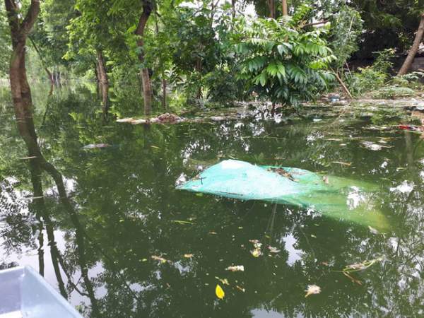 Kinh hoàng “biển rác” bủa vây người dân ngoại thành Hà Nội sau mưa lũ 7