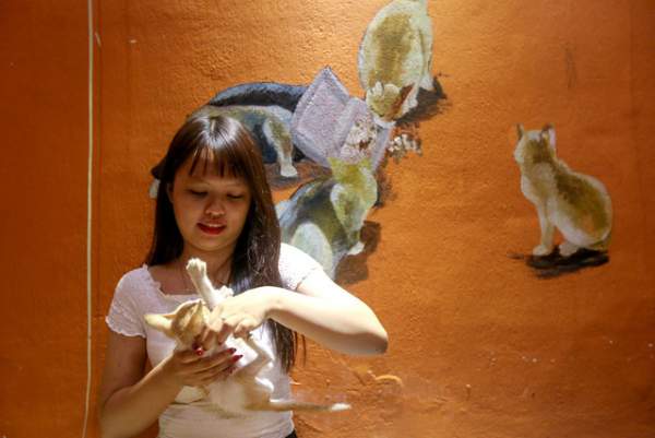 Khách thích thú chơi đùa trong quán cà phê nuôi đầy mèo hoang ở Sài Gòn 5