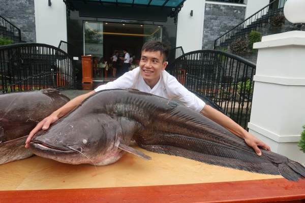 Choáng với cặp cá leo “khủng” nặng hơn 1 tạ xuất hiện ở Bắc Ninh 2