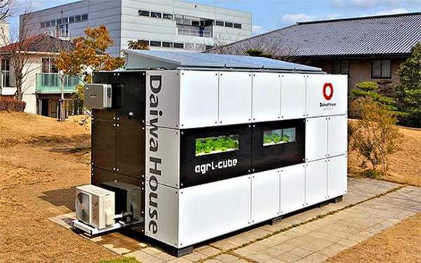 Agri-Cube - Container công nghệ giúp tăng năng suất trồng rau thủy sinh ở thành phố 2