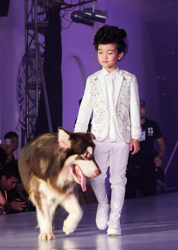Độc đáo màn trình diễn thời trang trẻ em với thú cưng tại Hà Nội 3