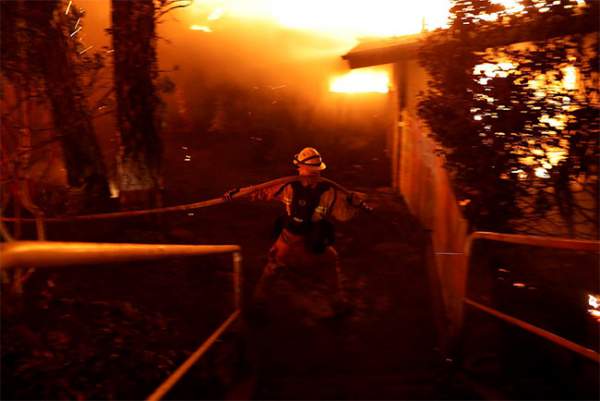44 người chết, cháy rừng ở California chưa bao giờ kinh hoàng đến thế 18