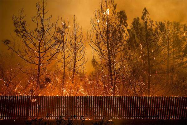 44 người chết, cháy rừng ở California chưa bao giờ kinh hoàng đến thế 10