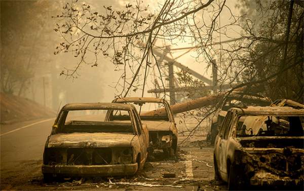 44 người chết, cháy rừng ở California chưa bao giờ kinh hoàng đến thế 8