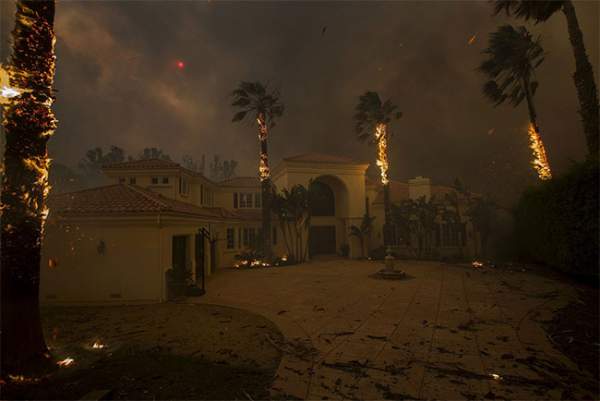 44 người chết, cháy rừng ở California chưa bao giờ kinh hoàng đến thế 9
