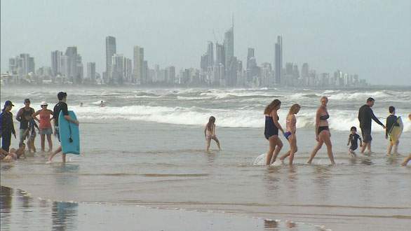 Sứa độc tấn công bờ biển Úc, hơn chục ngàn người bị đốt 4