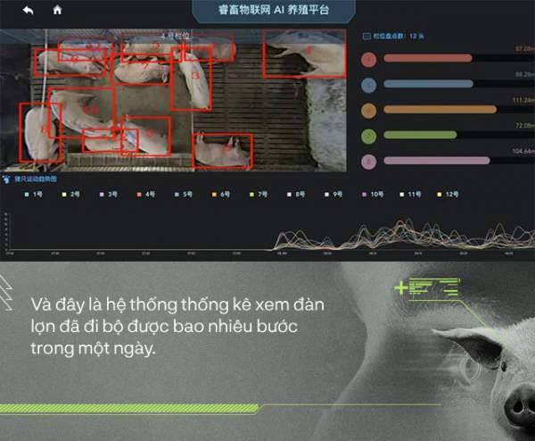 Trung Quốc chống lại dịch tả lợn châu Phi bằng công nghệ nhận diện mặt lợn như thế nào? 4