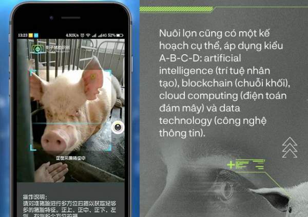 Trung Quốc chống lại dịch tả lợn châu Phi bằng công nghệ nhận diện mặt lợn như thế nào? 2