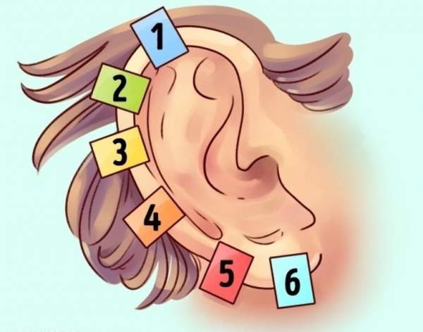 Sự thật thú vị về đôi tai hầu hết mọi người không biết 9