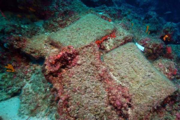Kinh ngạc phát hiện xác tàu đắm “cổ nhất thế giới“ ở Thổ Nhĩ Kỳ 4
