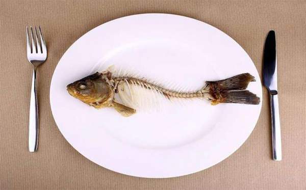 7 bộ phận của cá nhiều người tranh ăn nhưng có thứ gây chết người nhanh hơn ung thư 2