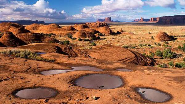 Loài tôm lạ sống trong sa mạc: Cổ nhất hành tinh, 50 năm không có nước mà trứng vẫn nở tốt 2
