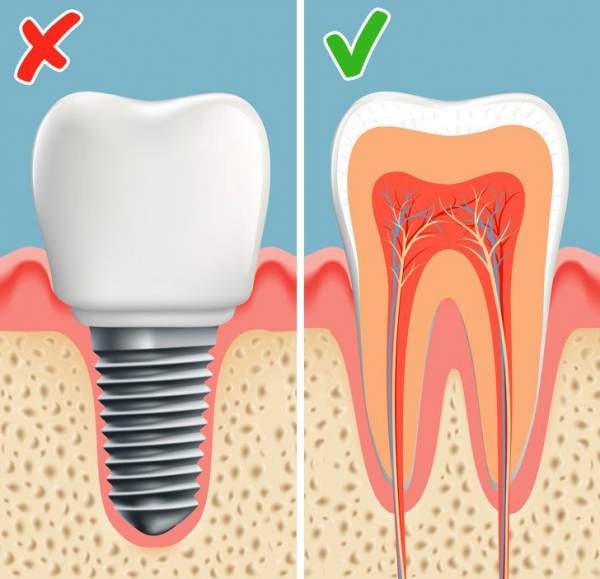 Các nhà khoa học đã tìm ra cách giúp bạn mọc lại răng mới chỉ sau 2 tháng 4