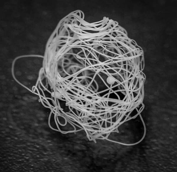 Vi khuẩn biến đổi gene có thể tạo ra loại tơ nhện siêu bền cho việc chế tạo trang phục không gian 2
