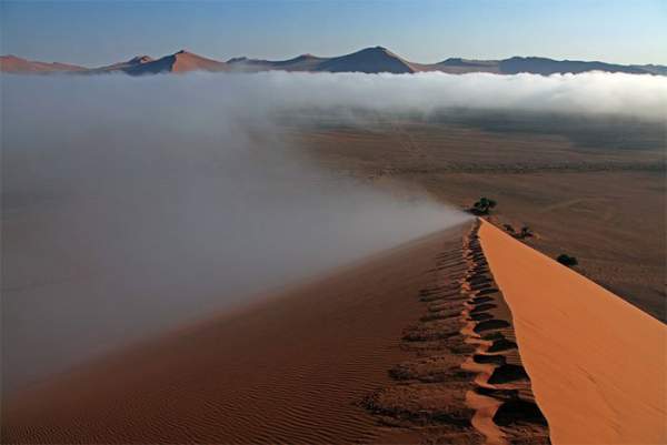 Chiến thuật sinh tồn tuyệt vời của loài bọ sống tại một trong những sa mạc khô nhất thế giới 2